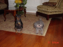Brenda's babies