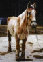 Mabel Before