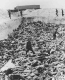 A DEADLY DICTATOR ORDERS 4 GENOCIDE