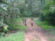 -Villagers-near-Amedzofe-Volta-Region-